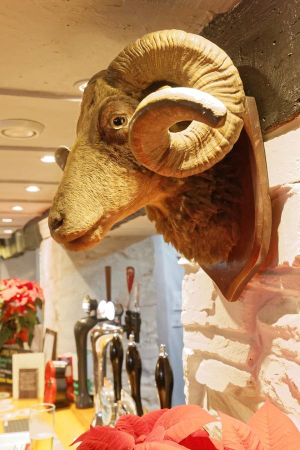 Rams Head Inn Dolton Eksteriør bilde